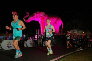 BIB: 
                            <button type="button" onclick="openModal(26543557)" class="btn btn-primary btn-sm float-right btn-popup" data-toggle="modal" data-target=".modal-high-quality">
                        <i class="fas fa-shopping-cart"></i> Add to Cart
                    </button>
                                            <button type="button" onclick="isThisMe(26543557, true)" class="btn btn-success btn-sm float-right btn-popup btn-isme hidden" data-toggle="tooltip" data-placement="bottom" title="นี่คือรูปของคุณใช่ไหม คลิกที่นี่เพื่อเอาเข้าอัลบั้ม">
                        <i class="fas fa-plus"></i> Add to album
                    </button>
                    <button type="button" onclick="isThisMe(26543557, false)" class="btn btn-warning btn-sm float-right btn-popup btn-isnotme hidden">
                        <i class="fas fa-ban"></i> Remove from album
                    </button>